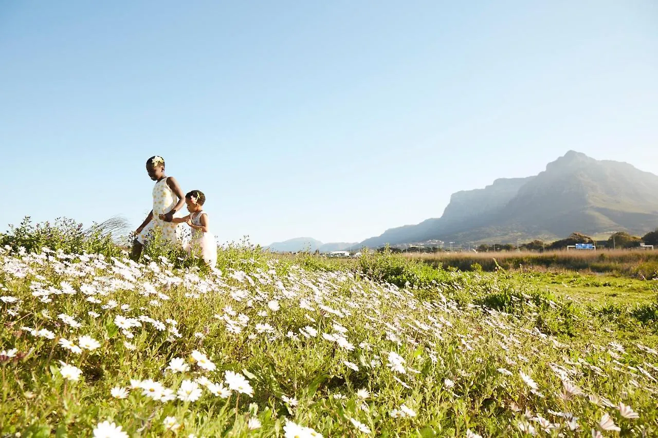 Lighthouse Farm Backpackers Lodge Cape Town