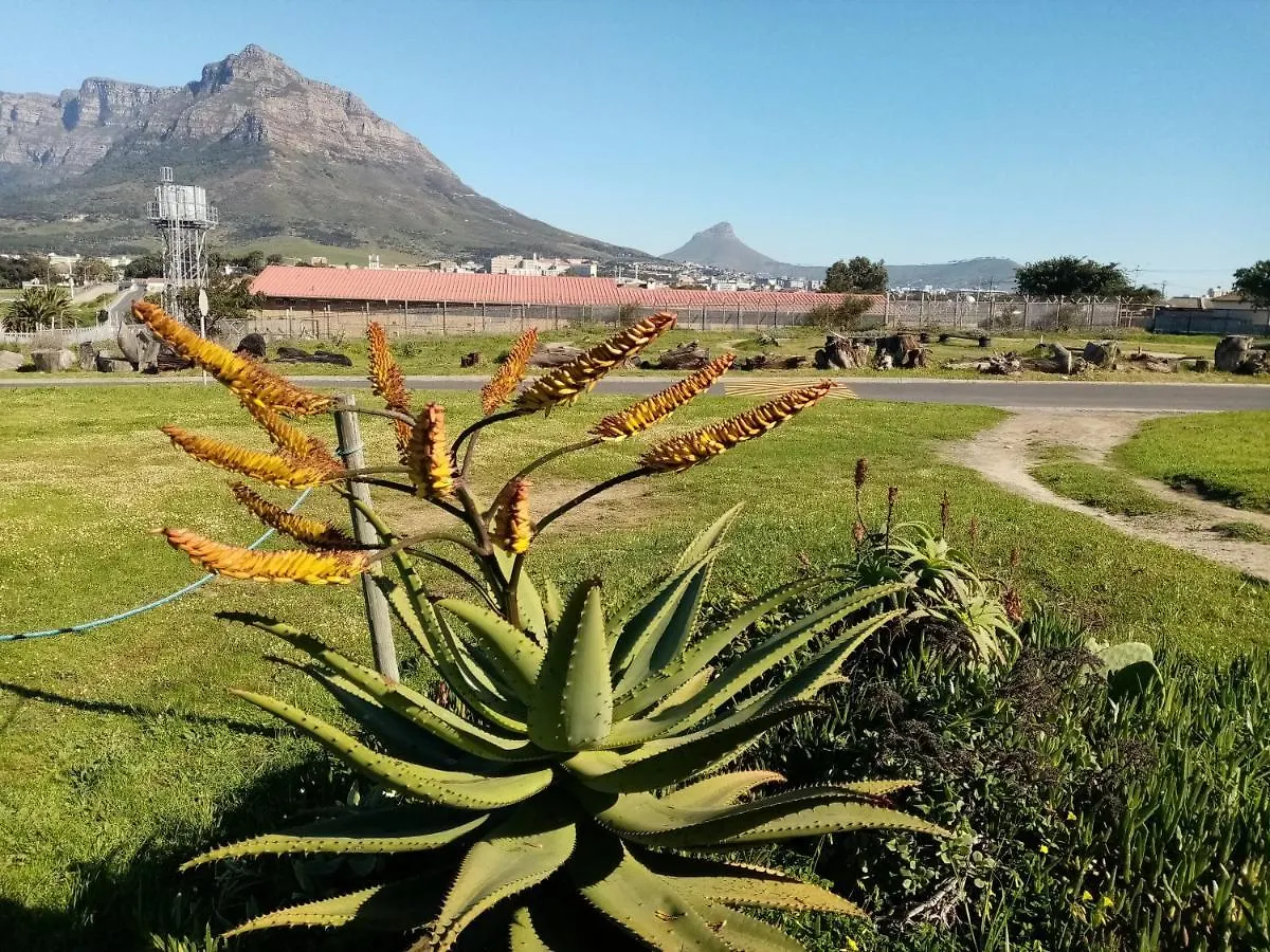 Lighthouse Farm Backpackers Lodge Cape Town