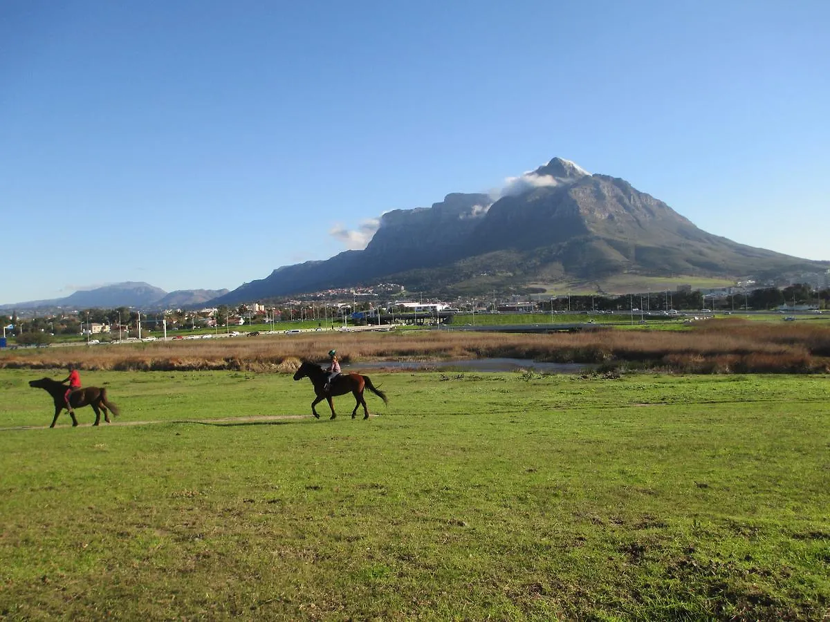 Lighthouse Farm Backpackers Lodge Cape Town 0*,