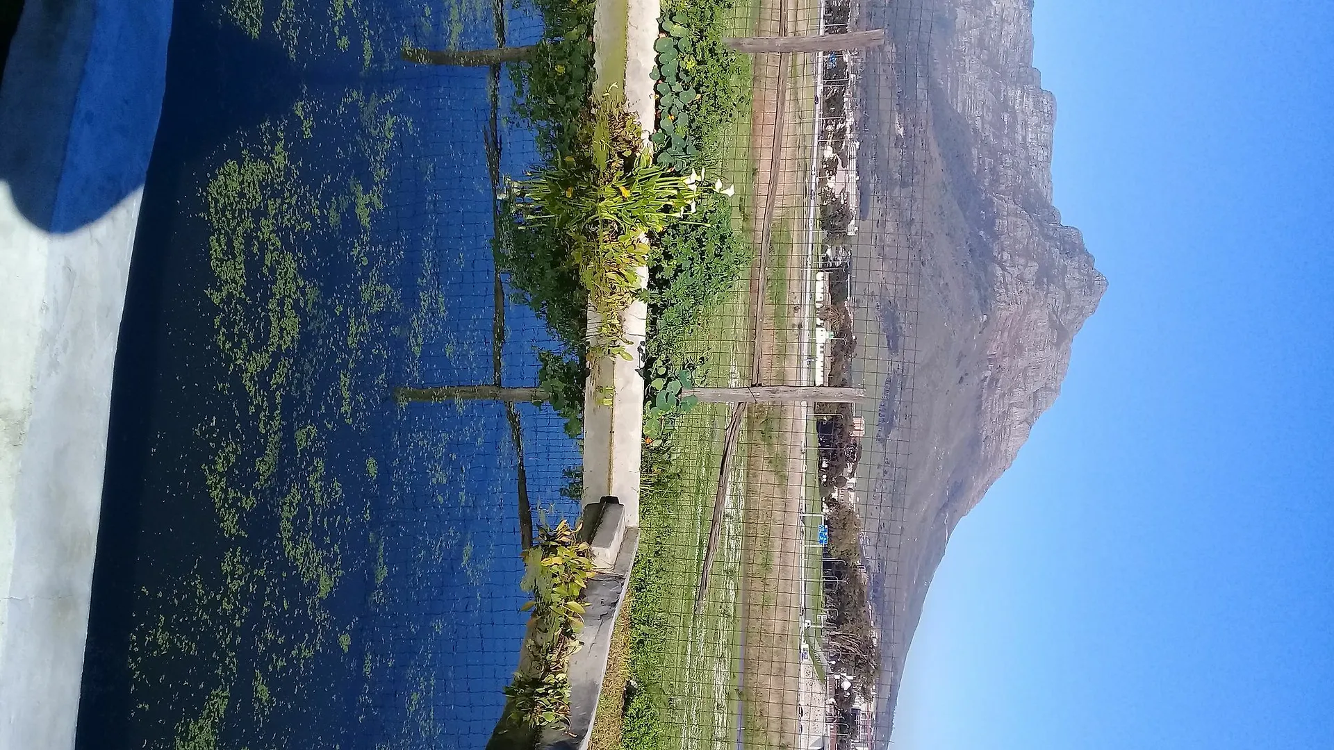 Lighthouse Farm Backpackers Lodge Cape Town